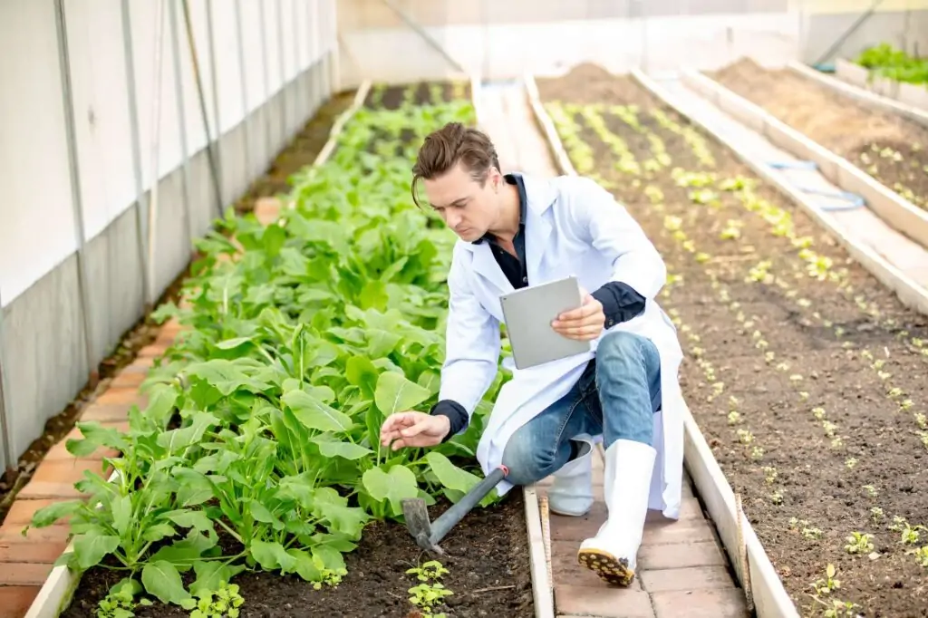 Agrónomo tomando datos en invernadero bc fertilis