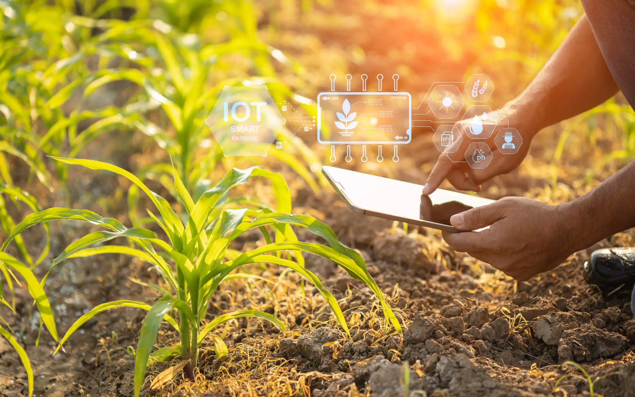 Agricultura 4.0