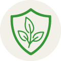 Protectores y fortificantes