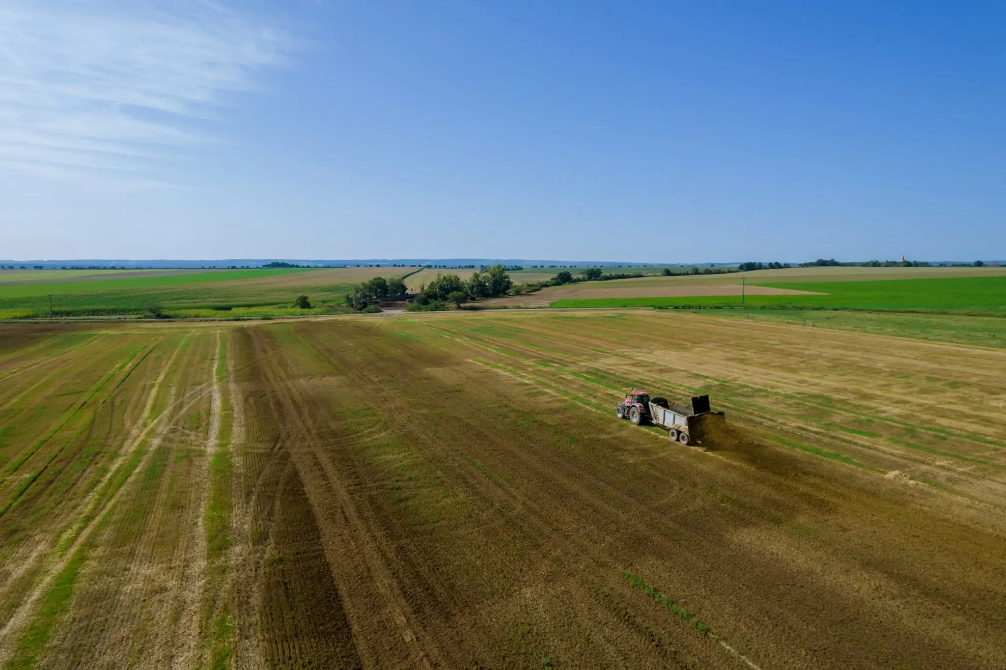 abonos líquidos beneficios en BC Fertilis
