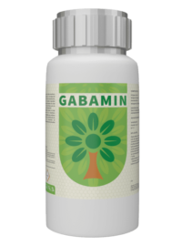 GABAMIN