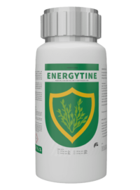 ENERGYTINE ®